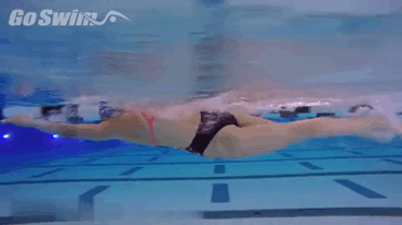 划水路线 划水路线